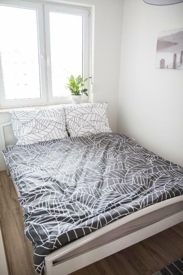 Apartament F&J Торунь Экстерьер фото