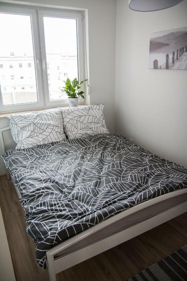 Apartament F&J Торунь Экстерьер фото